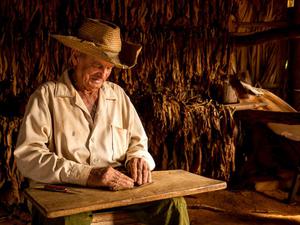 Tobacco rolling