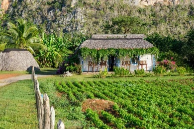 Viñales Valley landscape