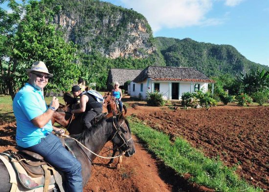 Horseback riding landscape