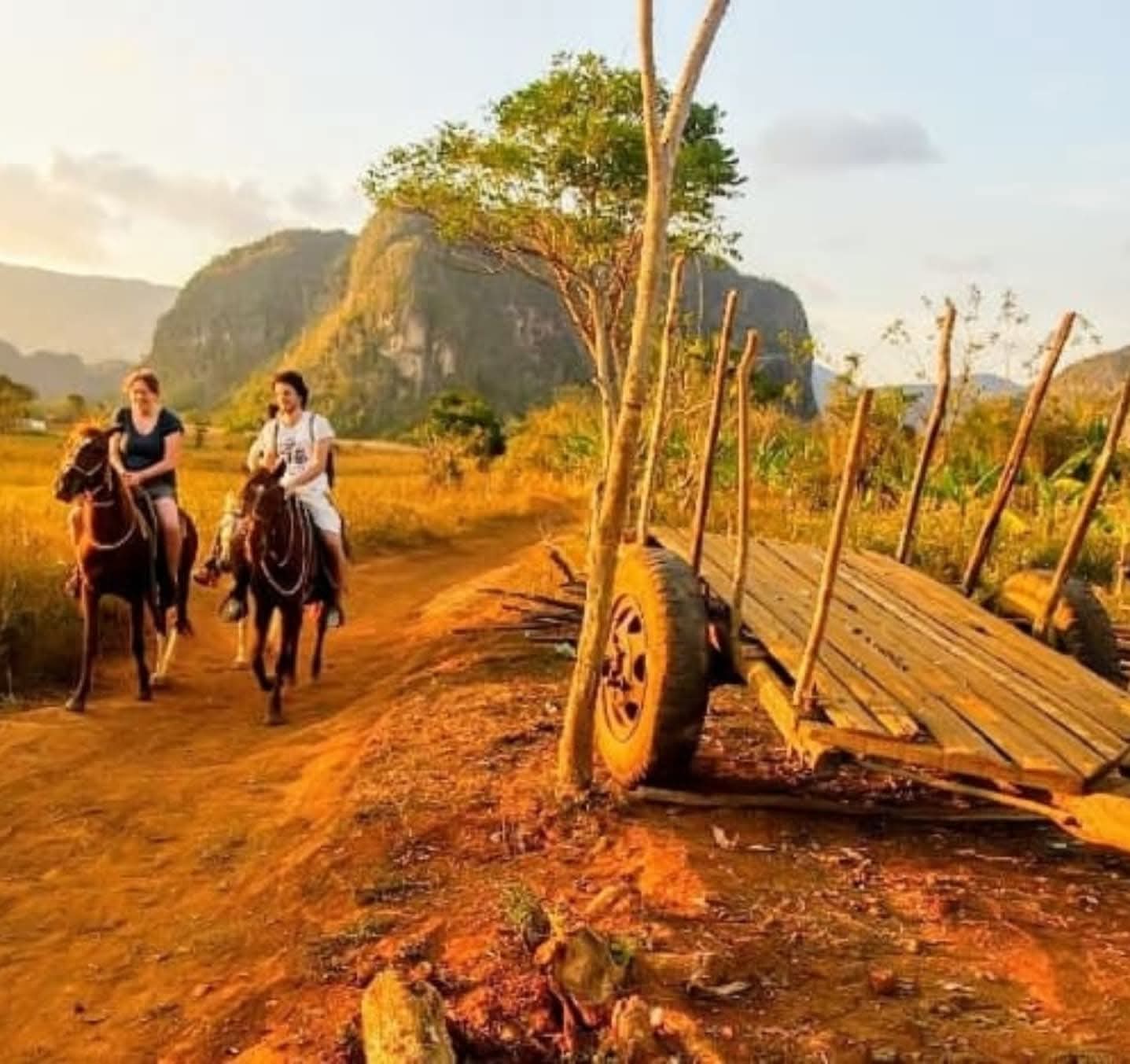 Horseback riding tour