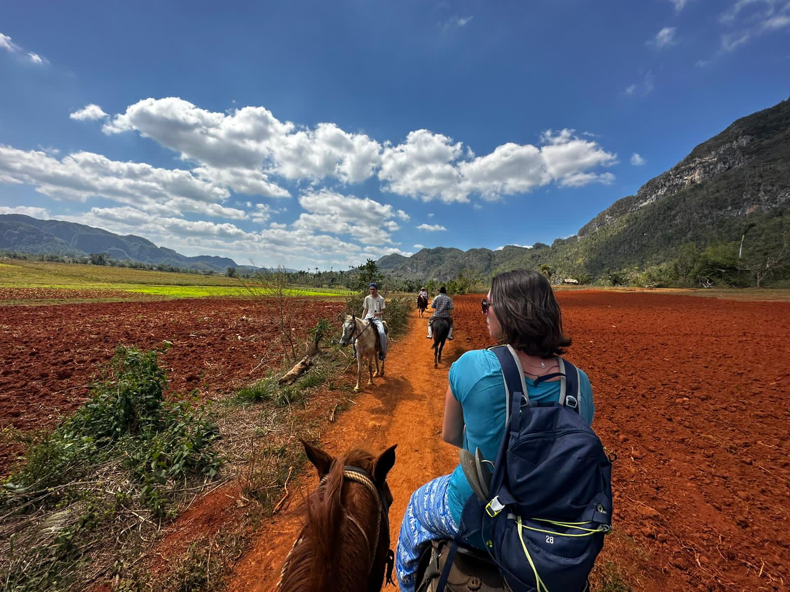 Tour guide with horses