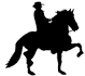 Riding Viñales Logo