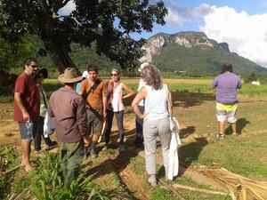 Horse Riding in Vinales