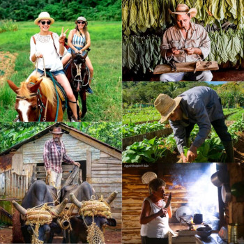 Horse riding vinales